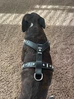 Leer honden harnas in mooi staat, Ophalen