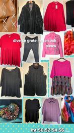 Diverse grote maten  50 52 54 56 veel nieuw en nieuwstaat, Kleding | Dames, Grote Maten, Ophalen of Verzenden, Zo goed als nieuw