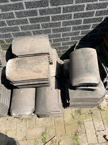 90 stuks oud-Hollandse nokvorsten – blauw gesmoord beschikbaar voor biedingen