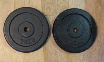 2x 15 Kg. VirtuFit Gietijzeren Halterschijven Ø 30 mm beschikbaar voor biedingen