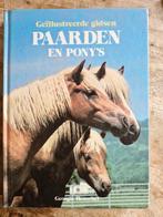Paarden en pony's Georgie Henschel, Ophalen of Verzenden, Zo goed als nieuw, Paarden of Pony's