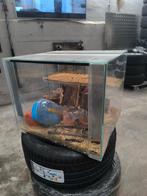 Hamsterkooi met toebehoren., Kooi, Minder dan 75 cm, Zo goed als nieuw, Ophalen