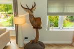 Edelhert opgezet, Verzamelen, Dierenverzamelingen, Ophalen of Verzenden, Nieuw, Hert, Opgezet dier