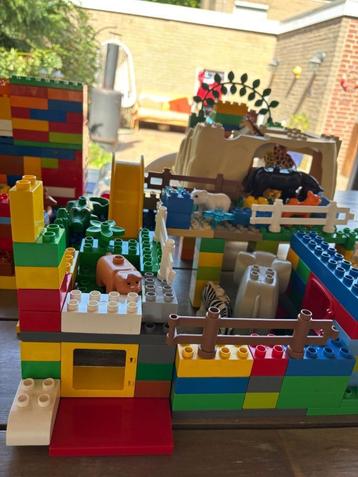 Duplo  beschikbaar voor biedingen
