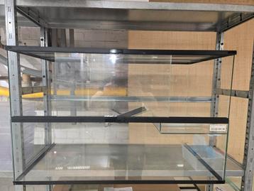 Waterschildpadden terrarium 804050 beschikbaar voor biedingen