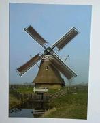 Stiens  - Leeuwarden ( Frl. ) De Steenhuister molen, Verzamelen, Ansichtkaarten | Nederland, Verzenden, 1980 tot heden, Ongelopen
