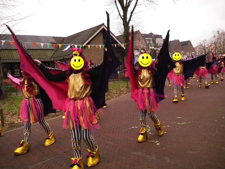 Carnaval loopgroep Freaky, Kleding | Dames, Carnavalskleding en Feestkleding, Gedragen, Kleding, Carnaval, Maat 42/44 (L), Ophalen