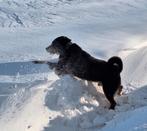 Oppas/ opvang, Oktober, Mannelijk