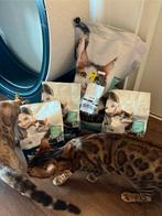 Purina live clear katten 11kg tot 2027, Dieren en Toebehoren, Ophalen, Nieuw