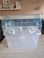 Complete hamsterkooi Ferplast Duna Space transparant, Kooi, Minder dan 75 cm, Hamster, Ophalen