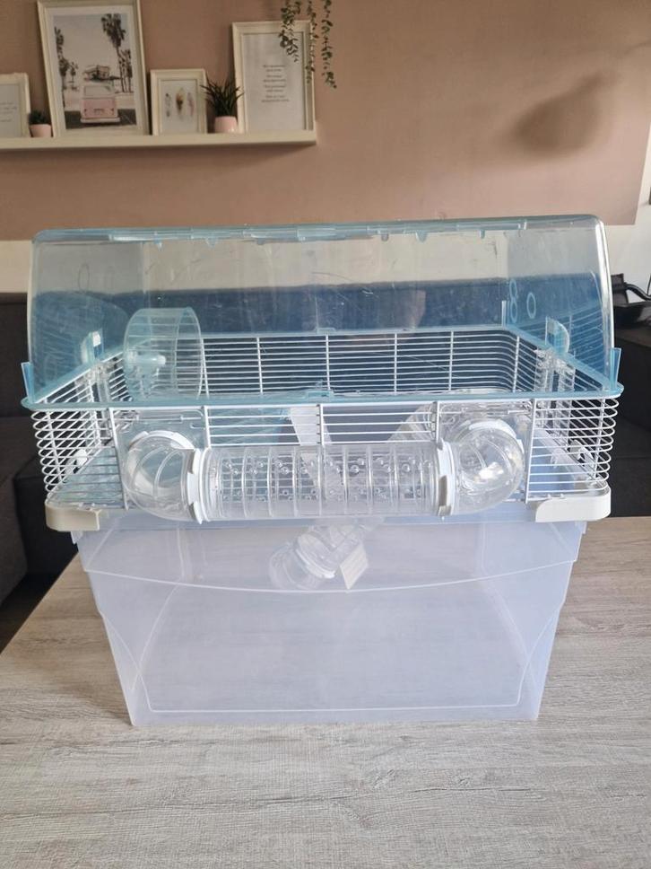 Complete hamsterkooi Ferplast Duna Space transparant, Dieren en Toebehoren, Knaagdieren en Konijnen | Hokken en Kooien, Kooi, Minder dan 60 cm