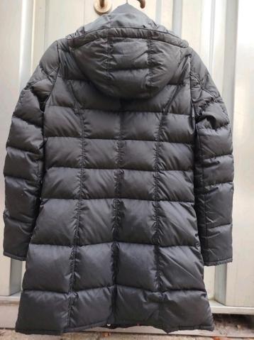 Tommy Hilfiger Winterjas Dames - Maat S - Zwart beschikbaar voor biedingen