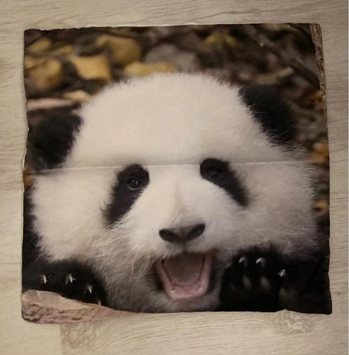 23031 Kussenhoes Panda, Huis en Inrichting, Woonaccessoires | Kussens, Nieuw, Zwart, Vierkant, Ophalen of Verzenden
