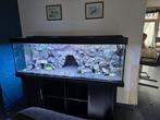 Aquarium groot, Dieren en Toebehoren, Ophalen, Gevuld zoetwateraquarium