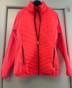 Falcon midlayer / outdoor / softshell jas maat XL / 42, Kleding | Dames, Overige kleuren, Verzenden, Falcon, Zo goed als nieuw