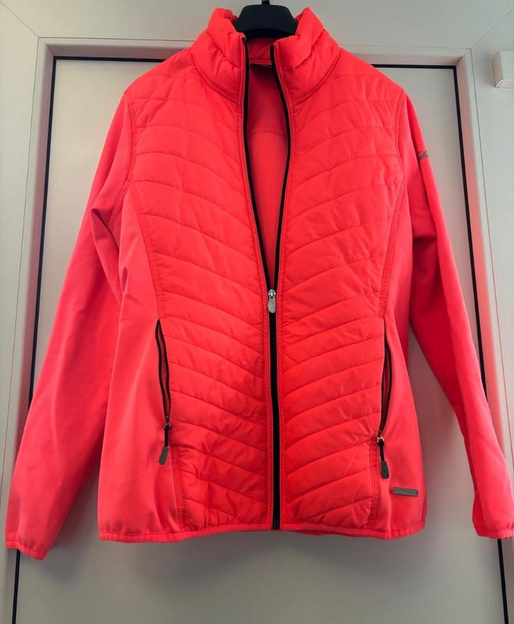 Falcon midlayer / outdoor / softshell jas maat XL / 42, Kleding | Dames, Sportkleding, Zo goed als nieuw, Overige typen, Maat 42/44 (L)