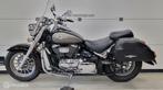 Suzuki C 800 Intruder LC, 805 cc, Chopper, Bedrijf, Meer dan 35 kW