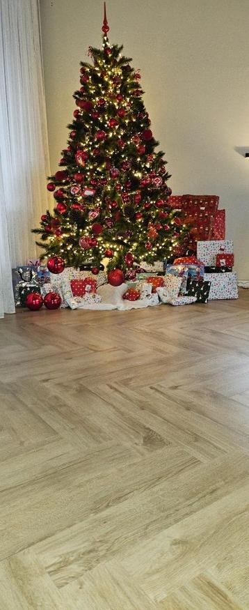 Kerstboom beschikbaar voor biedingen