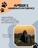 Honden uitlaatservice goeree-overflakkee, Ophalen of Verzenden