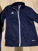 Adidas vest blauw dames, Kleding | Dames, Nieuw, Blauw, Ophalen of Verzenden, Maat 36 (S)