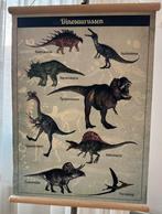 Schoolplaat met Dinosaurussen dubbelzijdig, Ophalen of Verzenden, Zo goed als nieuw, Overige typen