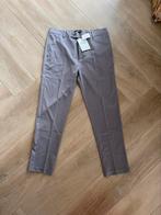 NIEUW: ICON Amsterdam, kleur dark grey maat XL, Ophalen of Verzenden, Grijs, Icon, Maat 56/58 (XL)