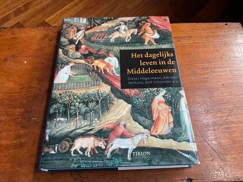 Het dagelijks leven in de Middeleeuwen, Boeken, Geschiedenis | Wereld, Ophalen of Verzenden