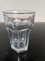 Hoegaarden Bierglas - 50cl -, Ophalen, Zo goed als nieuw, Glas of Glazen, Overige merken