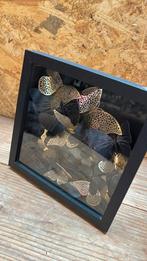 3d baklijst met zwarte en gouden vlinders, Ophalen, Nieuw, Artisticsflowers, Info@artisticsflowers.nl