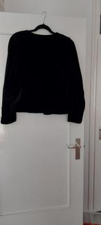 Jasje van fluweel zachte stof/Vintage, Kleding | Dames, Ophalen of Verzenden, Zo goed als nieuw, Maat 42/44 (L)
