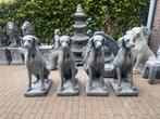 Engelse Jachthond ,Pointer,Weimaraner,, Ophalen, Nieuw, Beton, Dierenbeeld