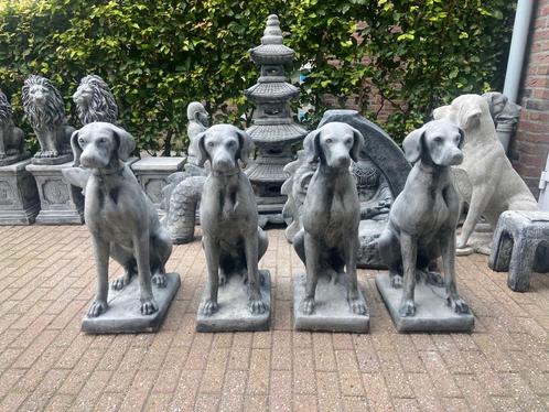 Engelse Jachthond ,Pointer,Weimaraner,, Tuin en Terras, Tuinbeelden, Nieuw, Dierenbeeld, Beton, Ophalen