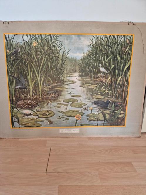 Oude schoolplaat, Antiek en Kunst, Antiek | Schoolplaten, Ophalen