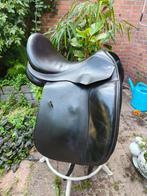 Schutte Legend 17 inch boom 33, Ophalen of Verzenden, Gebruikt, Dressuur