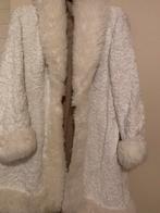 Prachtige teddy, Kleding | Dames, Jassen | Winter, Ophalen of Verzenden, Zo goed als nieuw, Maat 38/40 (M)