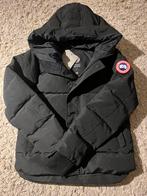Canada Goose macmillan, Ophalen of Verzenden, Nieuw, Maat 46 (S) of kleiner, Zwart