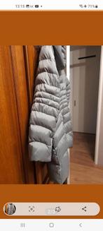 zgan Dames winterjas 46., Ophalen of Verzenden, Zo goed als nieuw, Maat 46/48 (XL) of groter, Grijs
