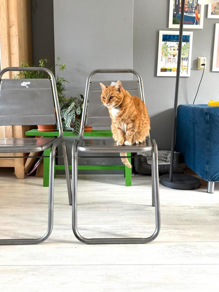 Eve ijzeren eetkamerstoelen 2 stuks, Huis en Inrichting, Stoelen, Zo goed als nieuw, Twee, Metaal, Overige kleuren, Ophalen