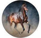 Behangcirkel Paard | Ronde muursticker Paard *Muurdeco4kid, Nieuw, Wanddecoratie, Verzenden