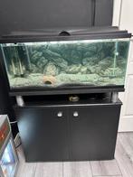 Mooi 85l Aquarium, Dieren en Toebehoren, Vissen | Aquaria en Toebehoren, Ophalen, Zo goed als nieuw, Leeg aquarium
