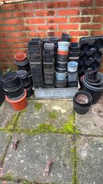 Kweekpotten Gratis, Tuin en Terras, Kweekspullen, Ophalen, Gebruikt, Kweekbak