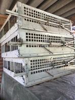 Duivenkorf reiskorven aluminium opleermand, Dieren en Toebehoren, Meerdere dieren, Postduif