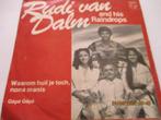 Rudi van Dalm & Raindrops _Waarom huil je toch nona manis, Pop, Gebruikt, Ophalen of Verzenden