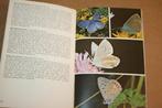 Vlinders - Gids voor het herkennen van vlinders, Boeken, Dieren en Huisdieren, Ophalen of Verzenden, Gelezen, Overige diersoorten