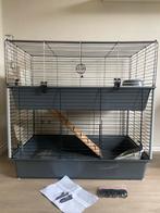 Complete konijnen uitzet: kooi 2 etages, ren, speeltjes, etc, Ophalen, Kooi, Cavia, Zo goed als nieuw