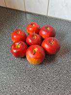 Decoratief nepfruit appels, Onbekend, Ophalen of Verzenden, Zo goed als nieuw, Onbekend