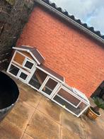 Groot hok met 2 cavia’s, Dieren en Toebehoren, Knaagdieren, Vrouwelijk, Tam, Maart, Cavia