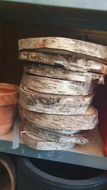 Boomstam Tafel Decoratie - 13 stuks beschikbaar voor biedingen