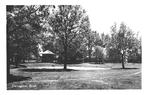 965067	Dwingelo	Drenthe	1955 Brink	Mooie oude kaart Onbeschr