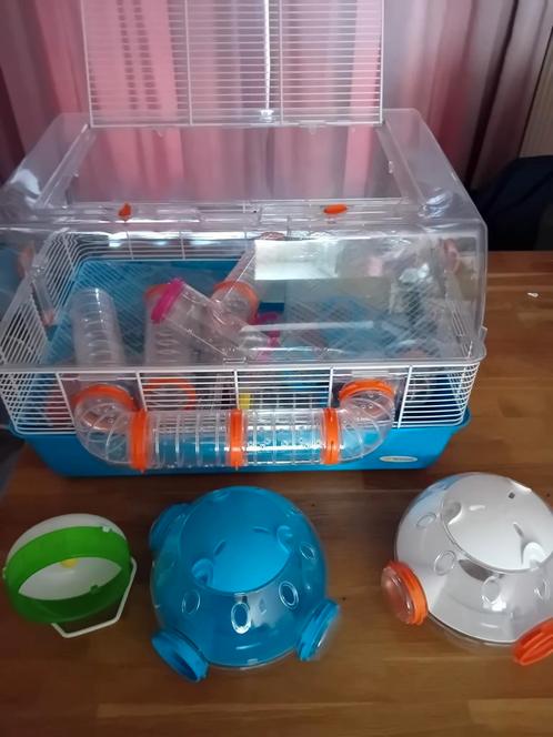 Hamster kooi met toebehoren, Dieren en Toebehoren, Knaagdieren en Konijnen | Hokken en Kooien, Kooi, Minder dan 60 cm, Minder dan 75 cm